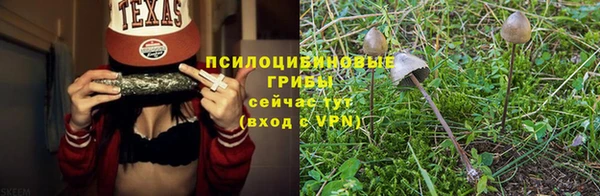 дурь Беломорск
