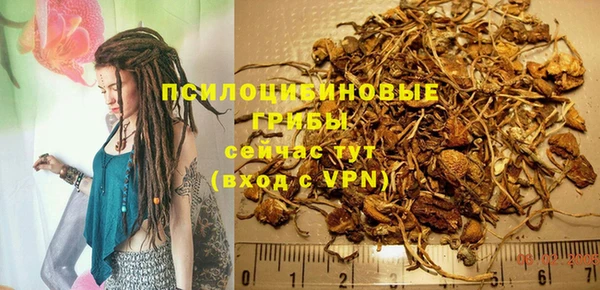 дурь Беломорск