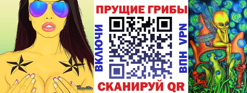 Псилоцибиновые грибы мицелий  купить наркотик  Ельня 